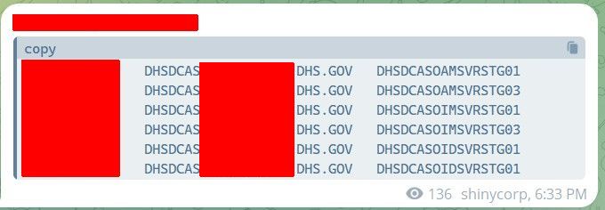 Dhs redacted
