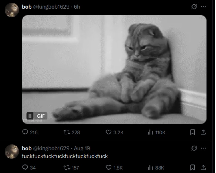 A cat sits slumped against a wall.