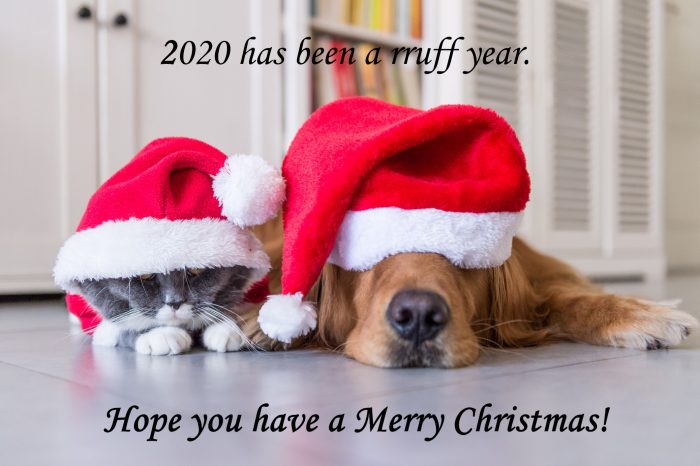 2020 has been a rruff year. Hope you have a Merry Christmas!