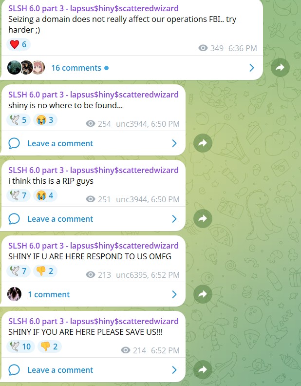 Seizing a domain does not really affect our operations FbI.. try harder :) shiny is no where to be found... I think this is a RIP guys SHINY IF U ARE HERE RESPOND TO US OMFG SHINY IF YOU ARE HERE PLEASE SAVE US!!!